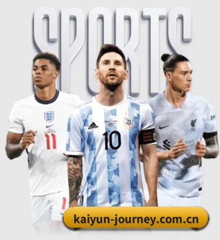 五大服务分区,信息按项目分类（kaiyun）