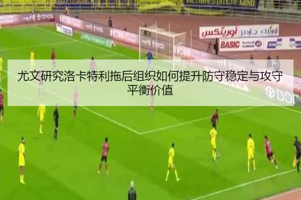 you-wen-yan-jiu-luo-ka-te-li-tuo-hou-zu-zhi-ru-he-ti-sheng-fang-shou-wen-ding-yu-gong-shou-ping-heng-jia-zhi-3-232.jpg
